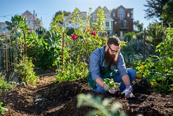 Tailored fertilizer for urban agriculture