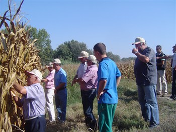 Jornada de Campo (Haifa Iberia – Agryser, Sep. 2011)