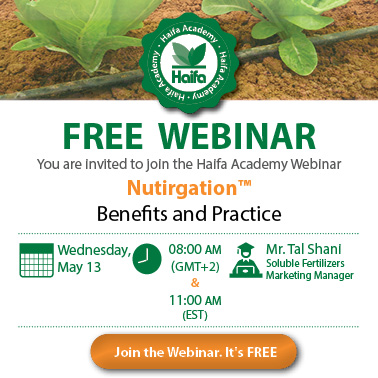 free webinar