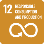 Responsible  consumption and production