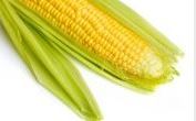 Corn