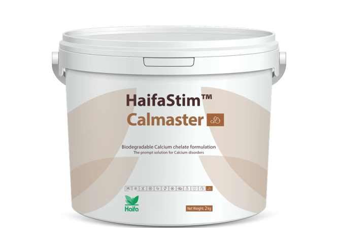 HaifaStim™ Calmaster &  Calmaster PluS+