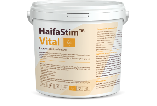 HaifaStim™ Vital