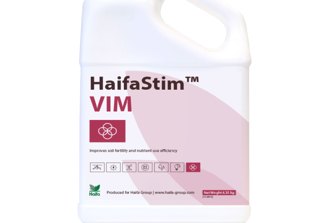 HaifaStim™ VIM & HaifaStim™ VIM S