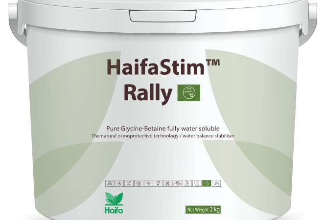 HaifaStim™ Rally